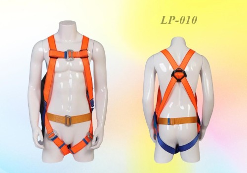 Adjustable safety harness with rear buckle